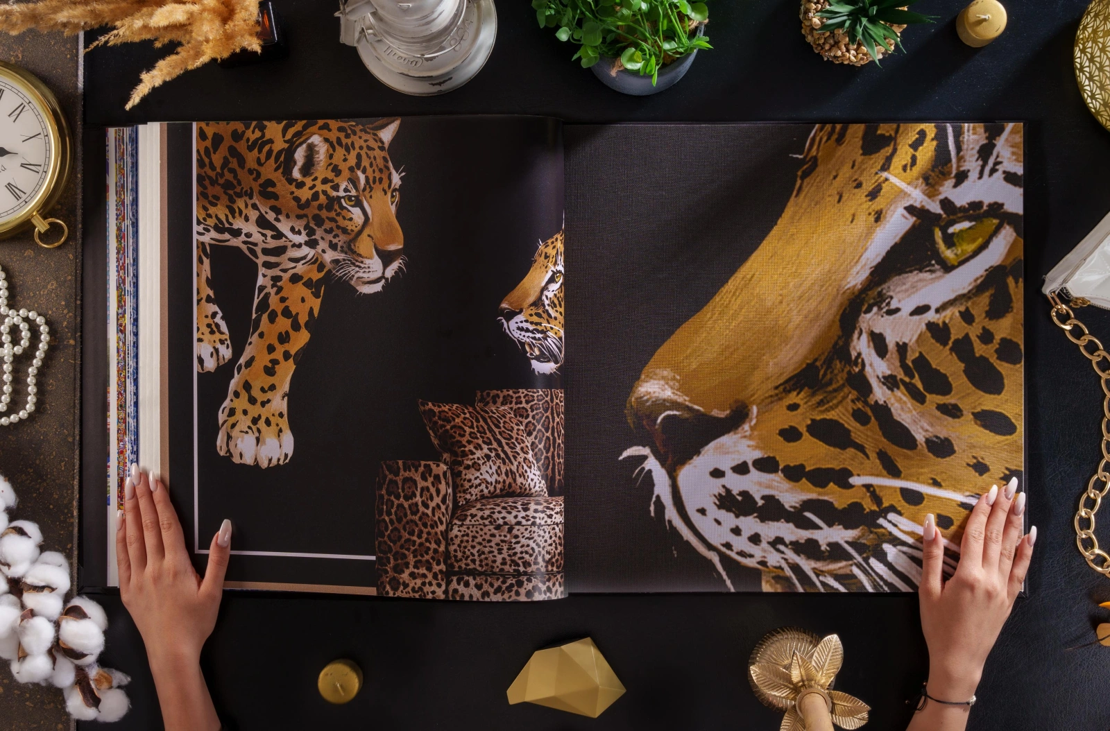 Dolce & Gabbana Casa galéria